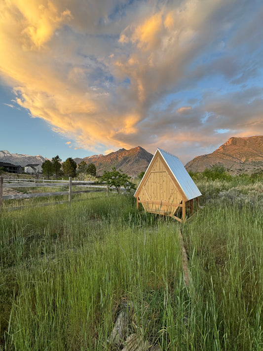 Apitherapy Bee hut